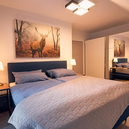 Apartamento 118qm Premium - Birkenfeld National Park Ellweiler